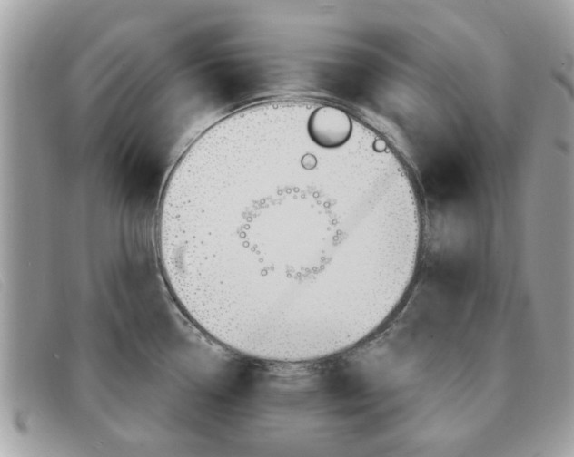 X0000091591338200708200943