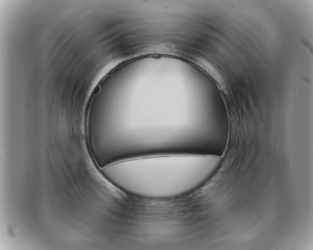 X0000091591339200708200943