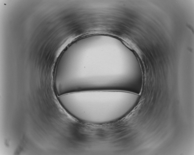 X0000091591341200708200943