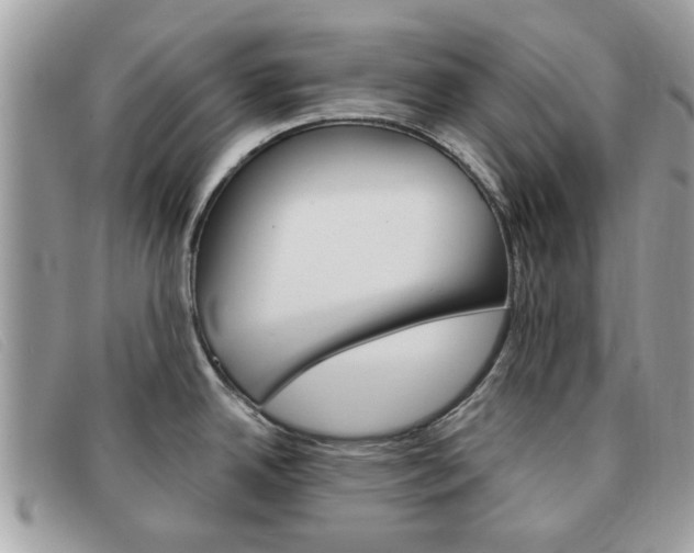 X0000091591342200708200943