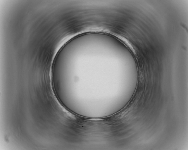 X0000091591343200708200943