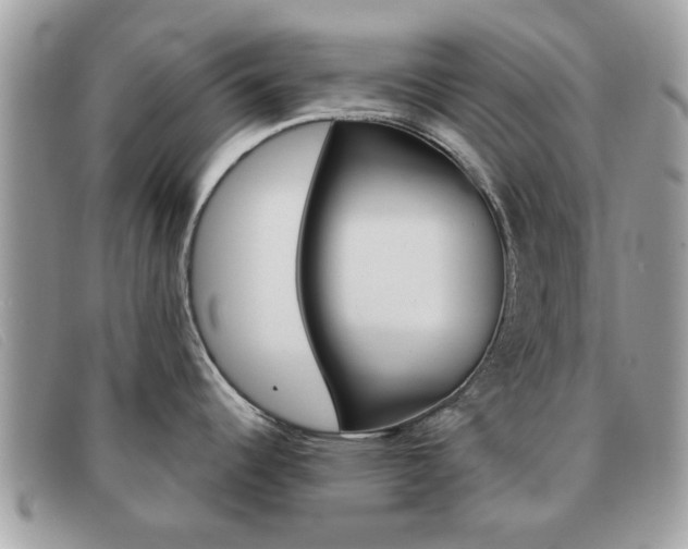 X0000091591344200708200943