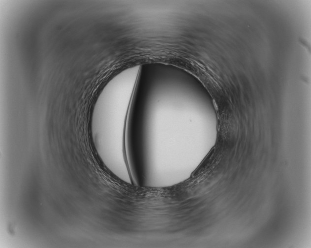 X0000091591345200708200942