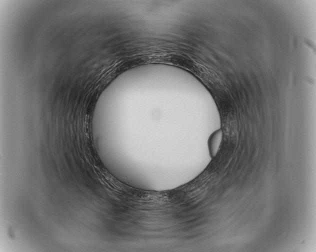 X0000091591346200708200942