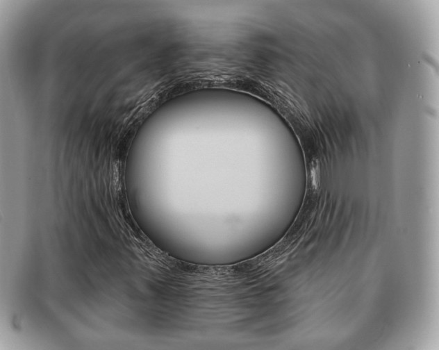 X0000091591347200708200942