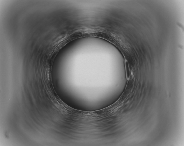 X0000091591348200708200942