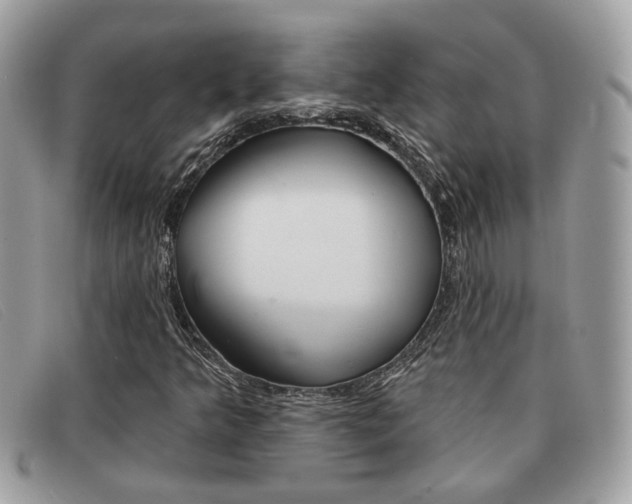 X0000091591349200708200942