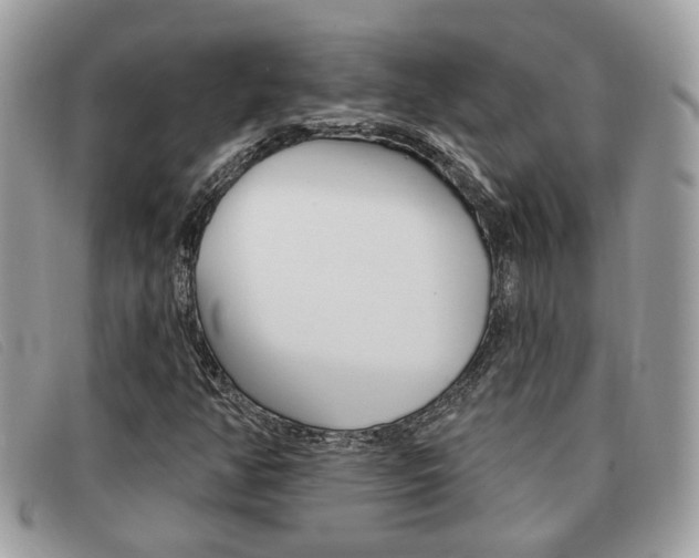 X0000091591350200708200942