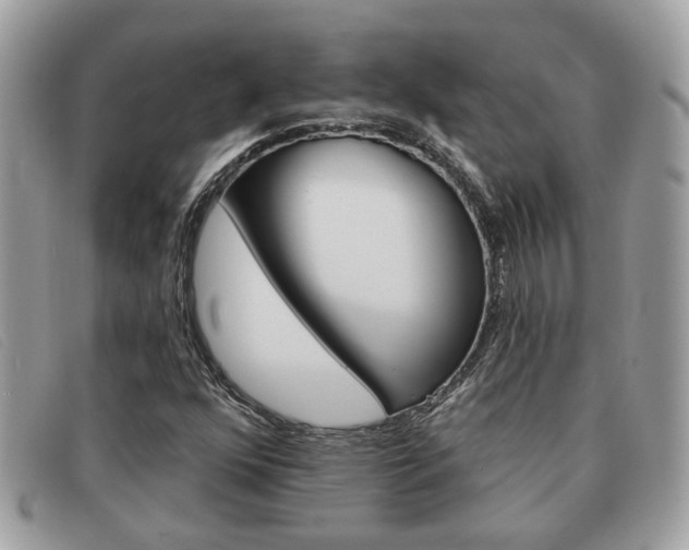 X0000091591352200708200942