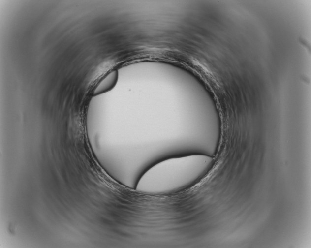 X0000091591354200708200942