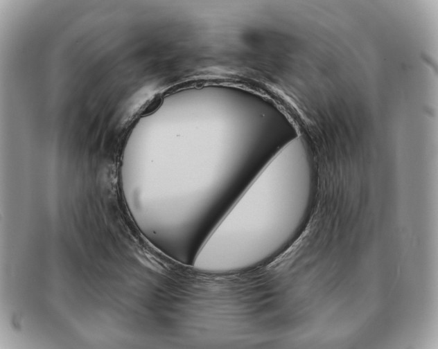 X0000091591355200708200942
