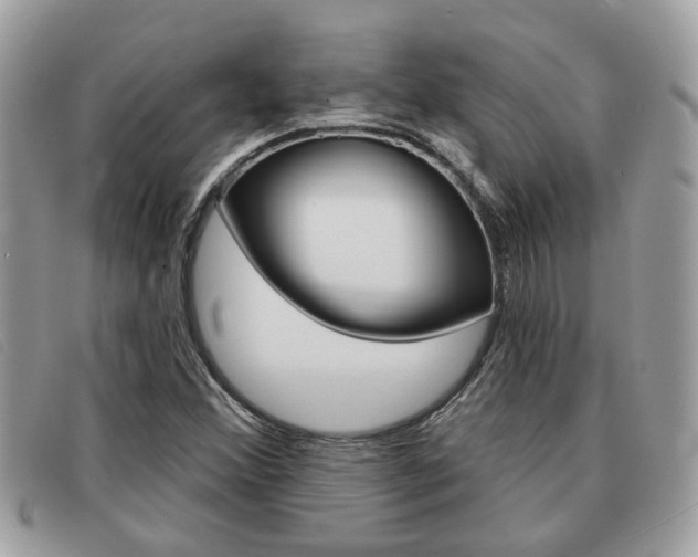 X0000091591356200708200942