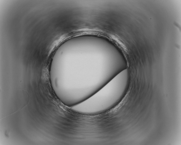 X0000091591357200708200942