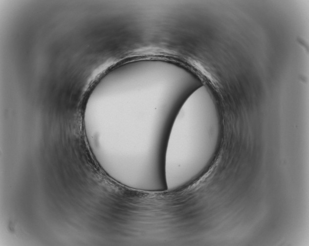 X0000091591358200708200942