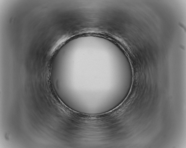 X0000091591359200708200942