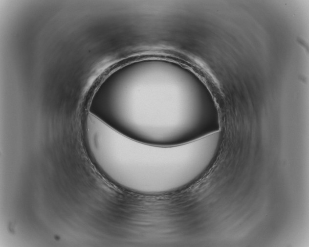 X0000091591360200708200942