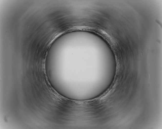 X0000091591361200708200942