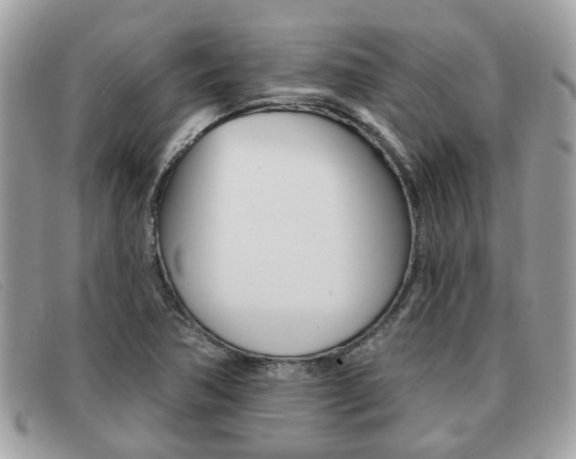 X0000091591362200708200942