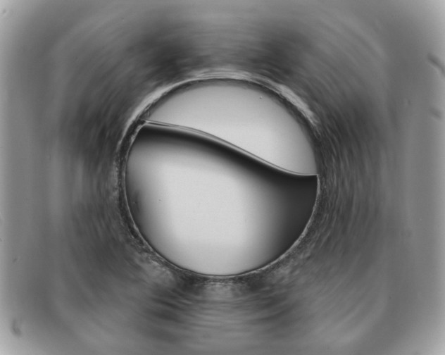 X0000091591364200708200942