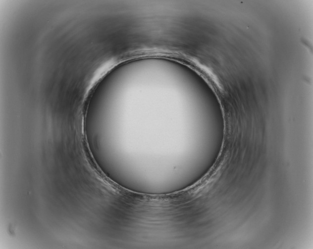 X0000091591365200708200942