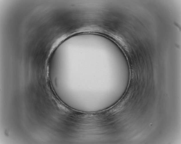 X0000091591366200708200942