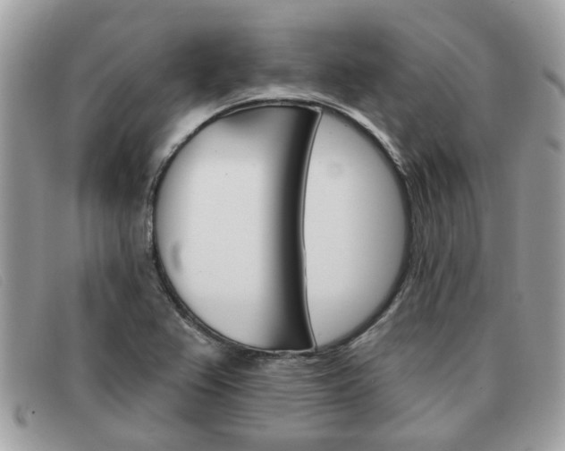 X0000091591367200708200942
