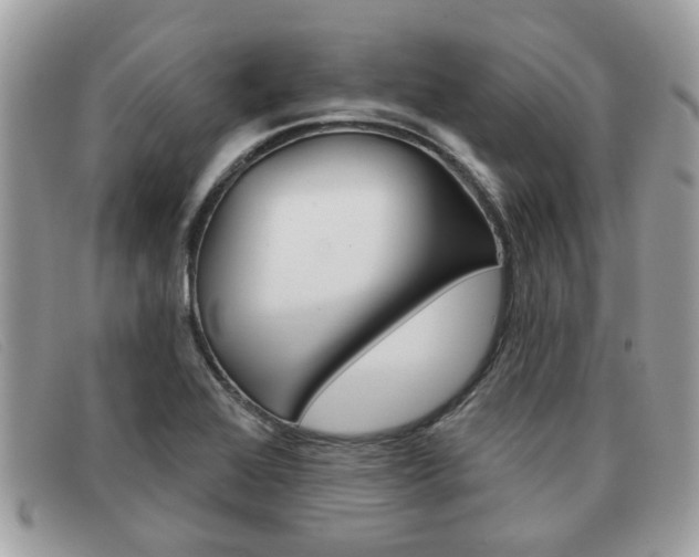 X0000091591368200708200942