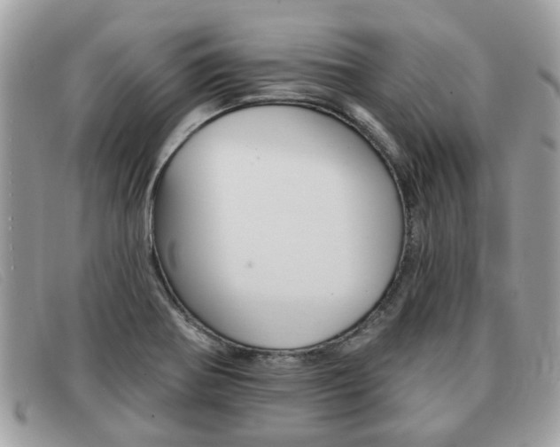 X0000091591370200708200942