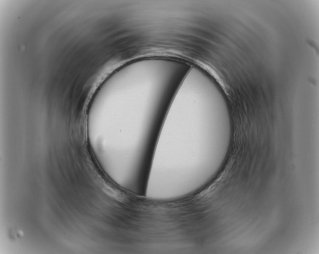 X0000091591371200708200942