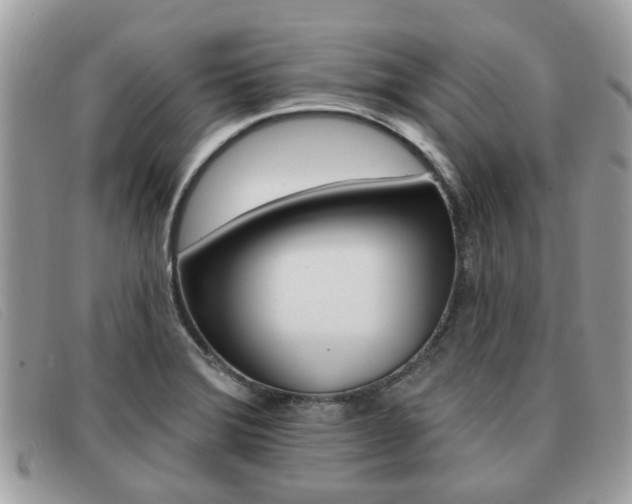 X0000091591372200708200942