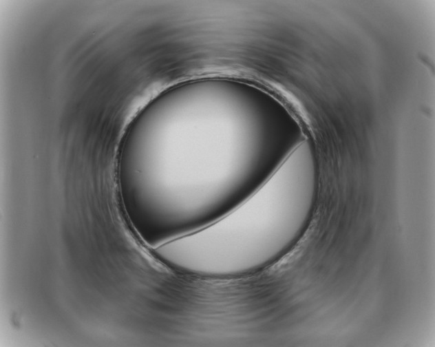X0000091591373200708200942