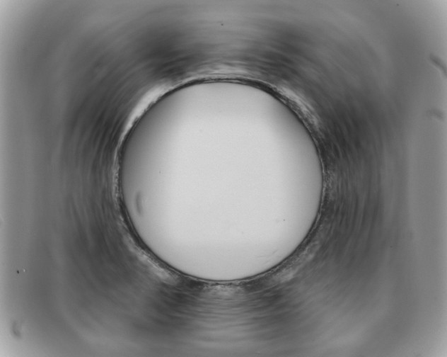 X0000091591374200708200942