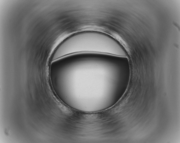 X0000091591376200708200942