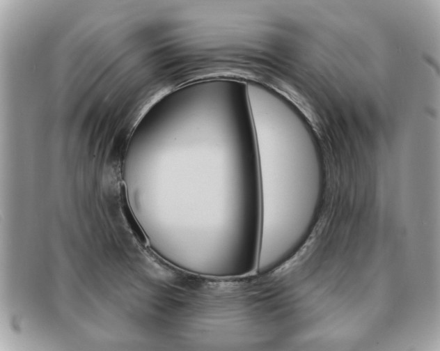 X0000091591377200708200942