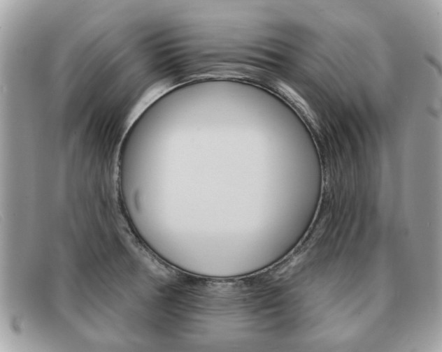 X0000091591378200708200942