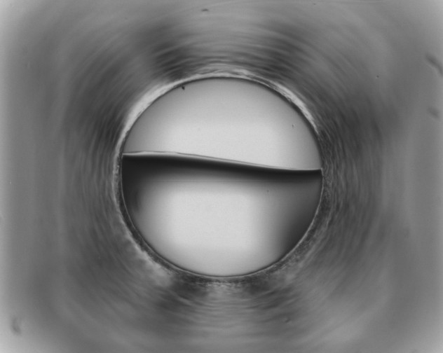 X0000091591379200708200942