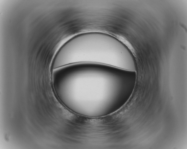 X0000091591380200708200942