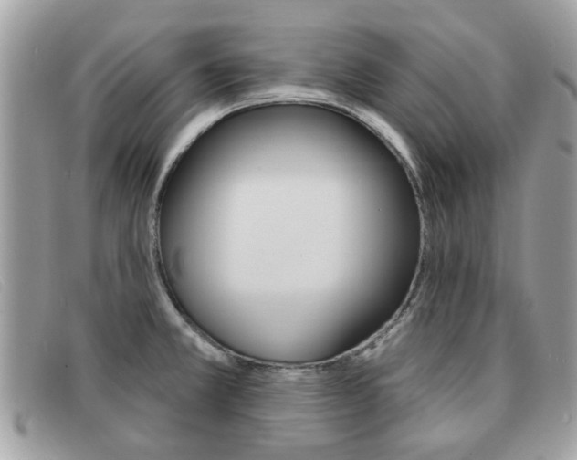 X0000091591381200708200942