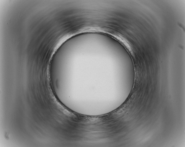 X0000091591382200708200942