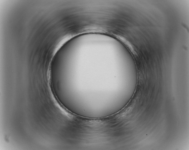 X0000091591383200708200942