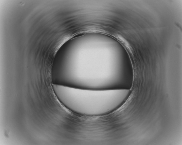 X0000091591385200708200942