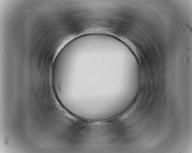 X0000091591390200708200942
