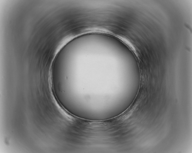X0000091591391200708200942