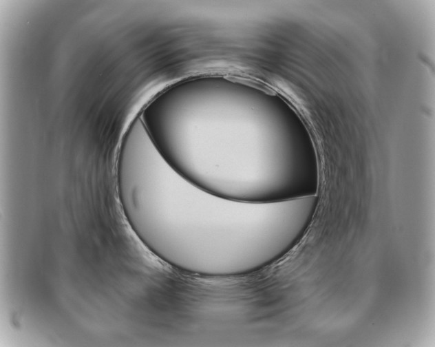 X0000091591392200708200942