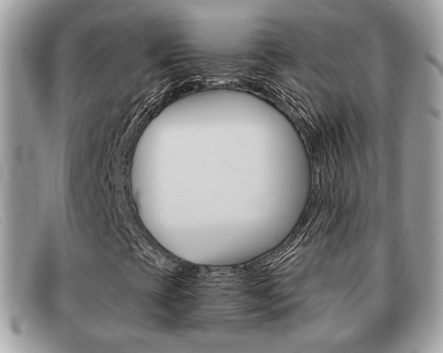 X0000091591393200708200941
