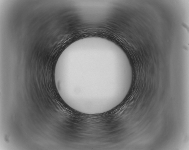 X0000091591394200708200941