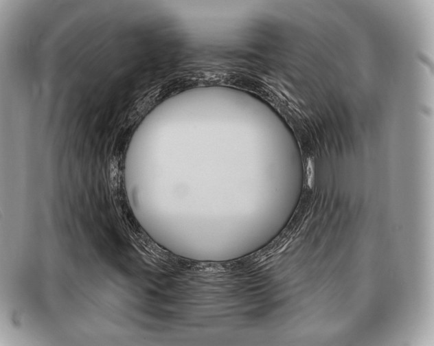 X0000091591395200708200941