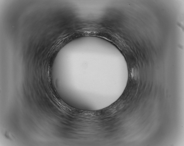 X0000091591396200708200941