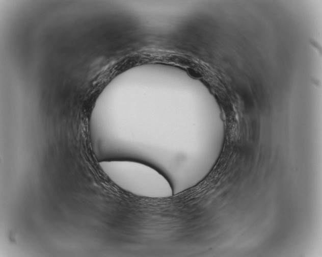 X0000091591397200708200941