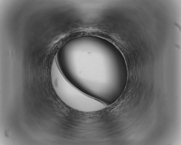 X0000091591398200708200941